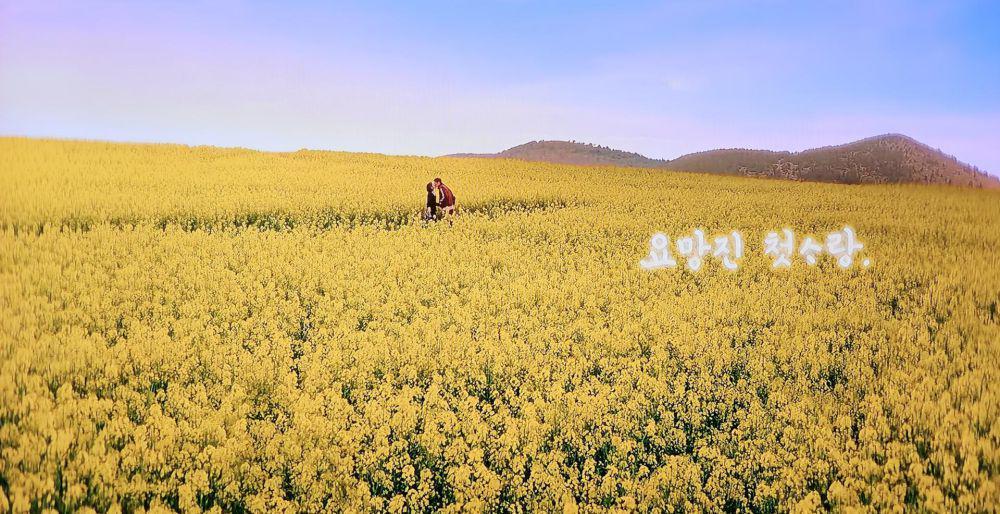 Gochang Barley Field, Lokasi Syuting When Life Gives You Tangerines