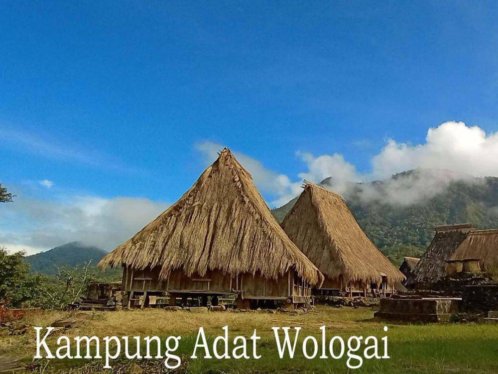 Kampung Adat Wologai (https://jadesta.kemenparekraf.go.id/)
