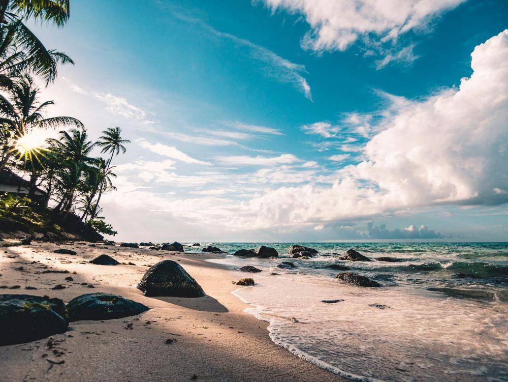 Ilustrasi Pantai (https://www.pexels.com/@fabianwiktor/)