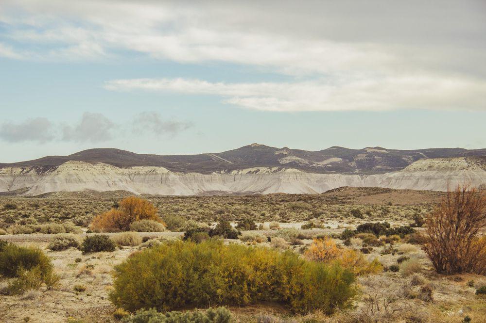 4 Fakta Gurun Patagonia, Gurun Dingin Kaya Flora dan Fauna
