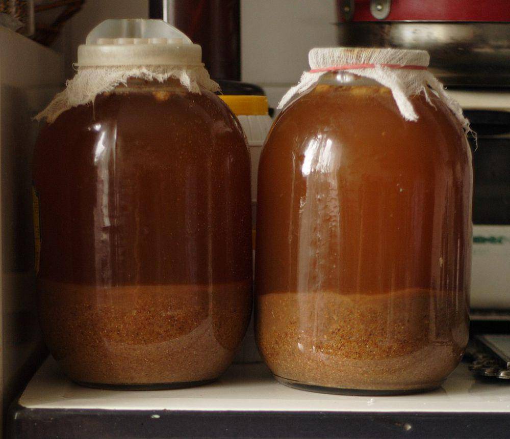 kvass (commons.wikimedia.org/wiki/Andrij Bulba)