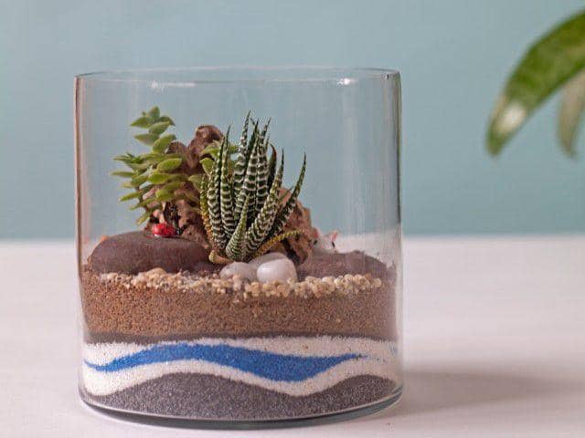 ilustrasi terrarium mini (unsplash.com/Art and Soil Bangalore)