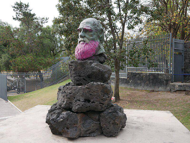 potret Charles Darwin dalam karya seni patung (commons.wikimedia.org/Luisalvaz)