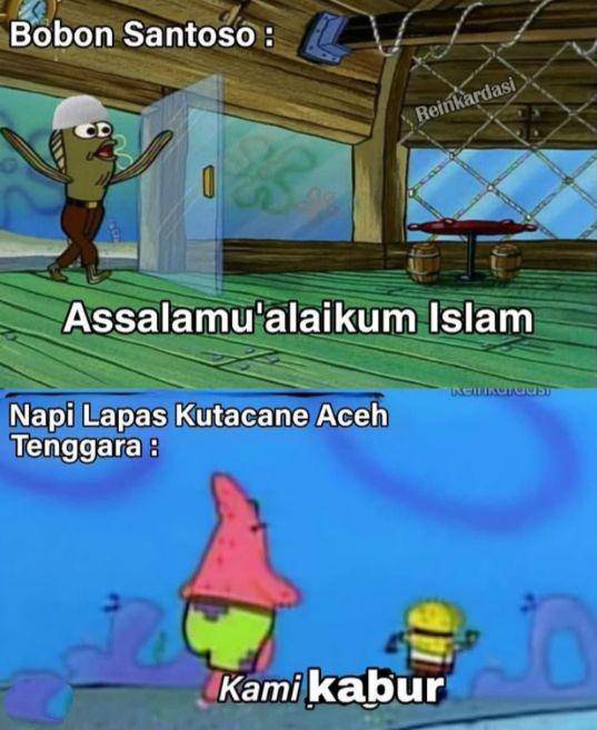 meme berita viral (instagram.com/lawakscience)