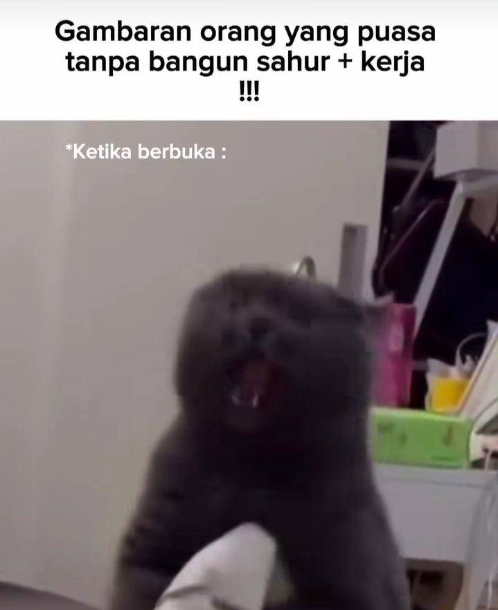 meme gak sahur (instagram.com/memeislam.id)