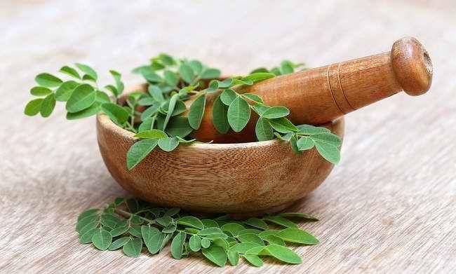 ilustrasi daun kelor (pexels.com/jeffry)