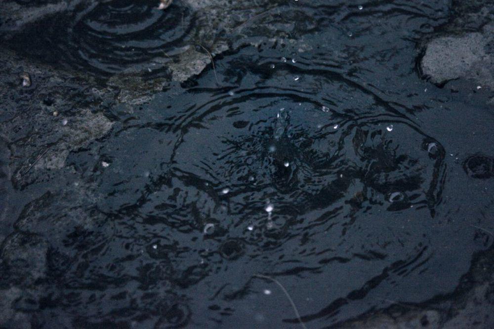 Pengendara Motor di Bandar Lampung Tewas Ditimpa Pohon Tumbang