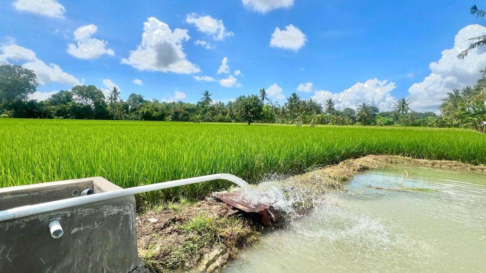 Program Electrifying Agriculture yang saat ini dinikmati oleh petani di Kabupaten Sidrap, Provinsi Sulawesi Selatan. (Dok. Istimewa)