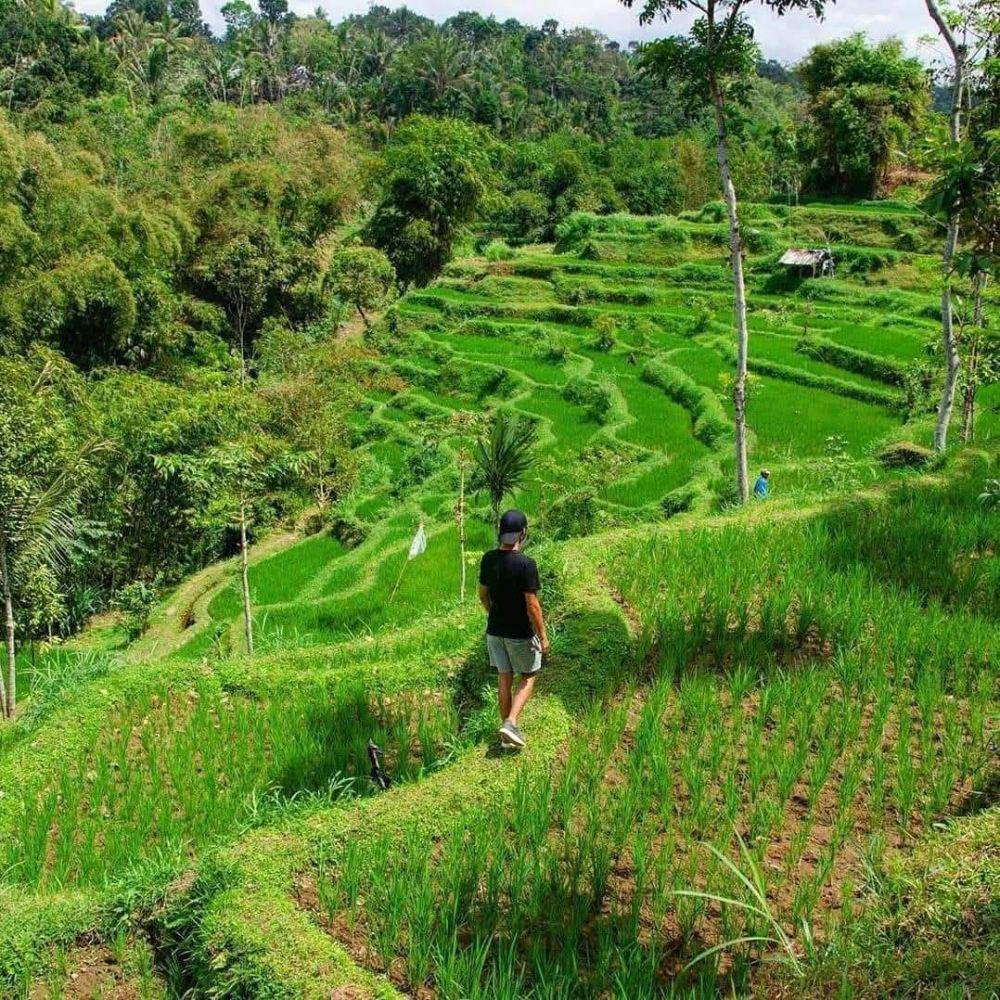 Salah satu objek Wisata di Desa wisata Kembang Kuning(Facebook)