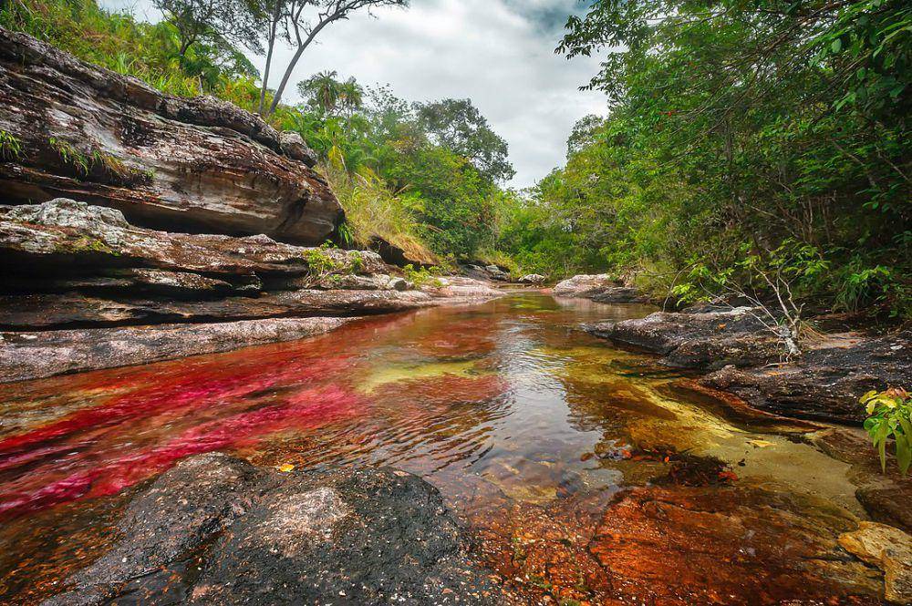 Caño Cristales (es.wikipedia.org/Mario Carvajal)