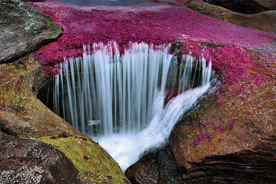 Caño Cristales (nationalgeographic.pt)