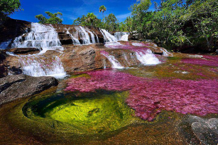 5 Fakta Cano Cristales, Sungai yang Bisa Berubah Jadi Lima Warna