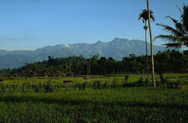Gunung Argopuro (https://id.wikipedia.org/)