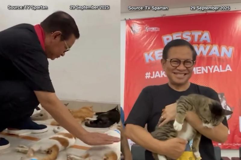 Pramono: Kesejahteraan Kucing di DKI Tak Bisa Dipandang Sebelah Mata