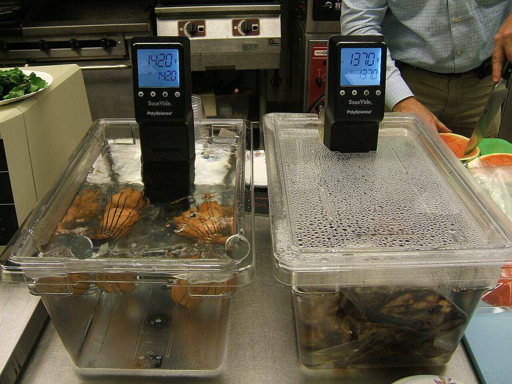 ilustrasi sous-vide (commons.wikimedia.org/Pedro.serna)