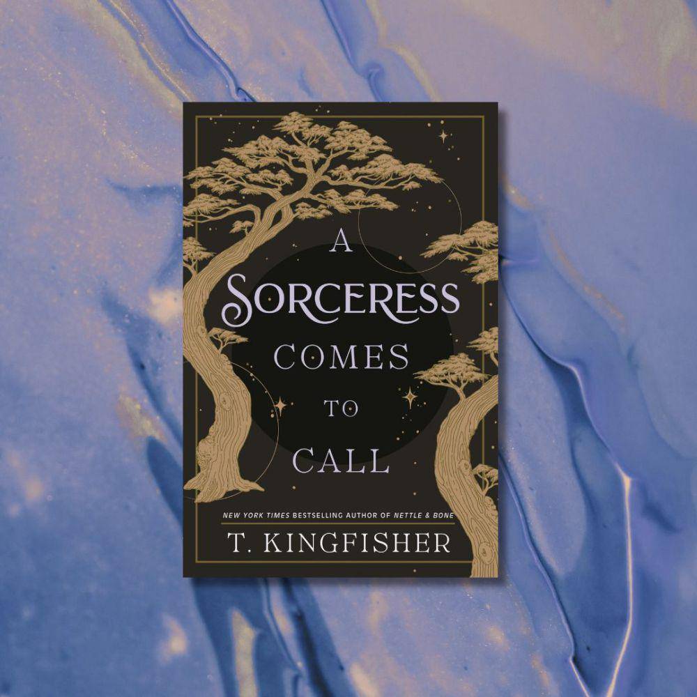 A Sorceress Comes to Call (us.macmillan.com)