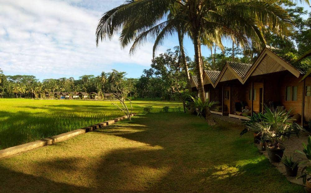 ilustrasi House of Sawah (dok.pribadi/Ariel Guslandi)