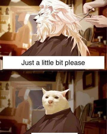 meme kucing tentang model rambut (reddit.com/user/Filipino-Asker)