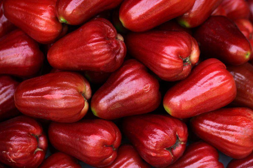 ilustrasi jambu air merah (pexels.com/Jeffry S.S.)