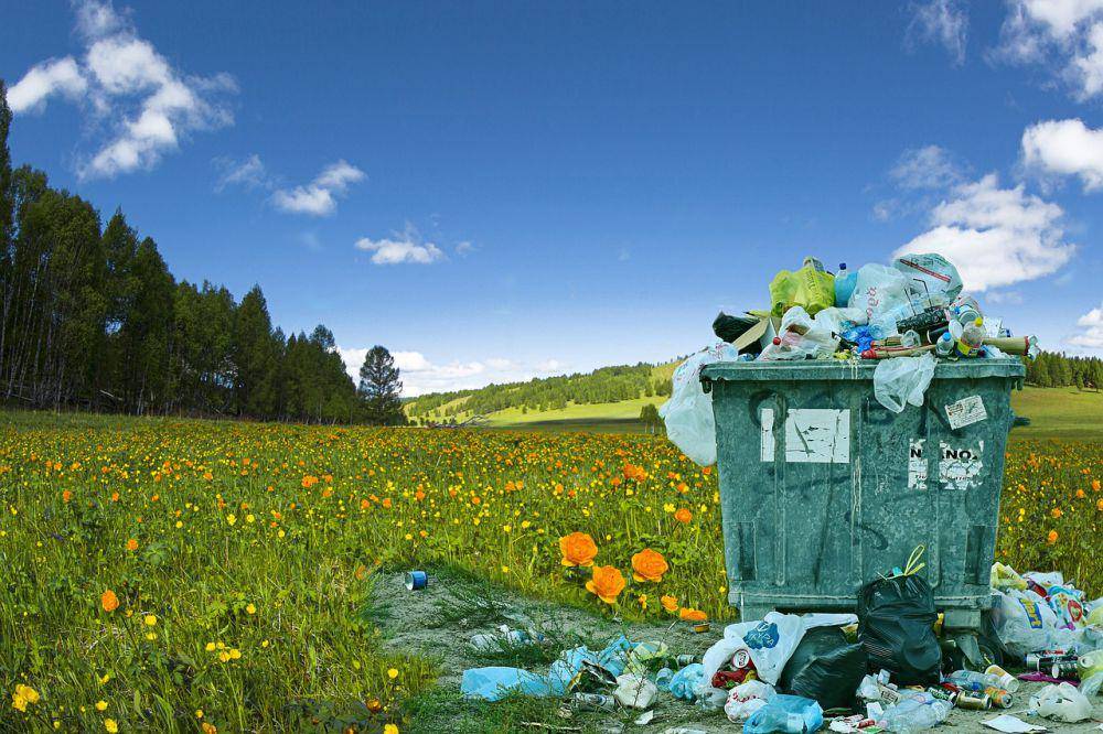 Ilustrasi sampah di tengah taman (Pixabay.com/TheDigitalArtist