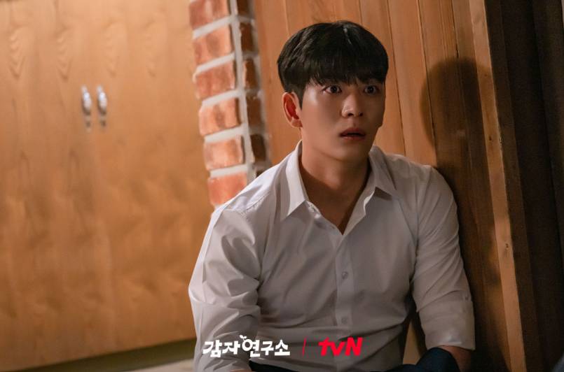 cuplikan drama The Potato Lab (dok. tvN/The Potato Lab)