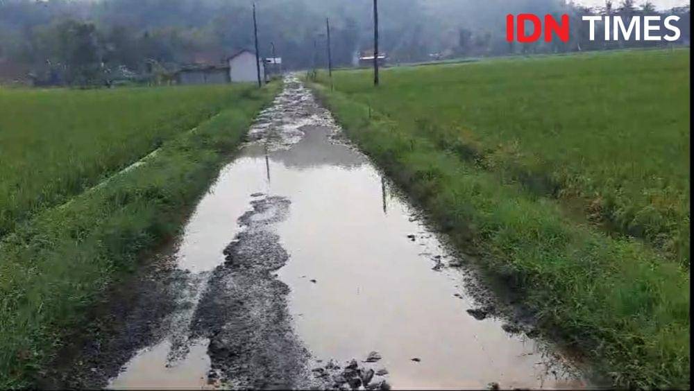 Hamparan jalan di dusun Muncu, desa Purwojati Banyumas yang rusak parah, Sabtu (15/3/2025).(IDN Times/Cokie Sutrisno)