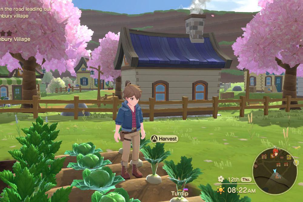 4 Diskon Game Harvest Moon di Steam Spring Sale 2025