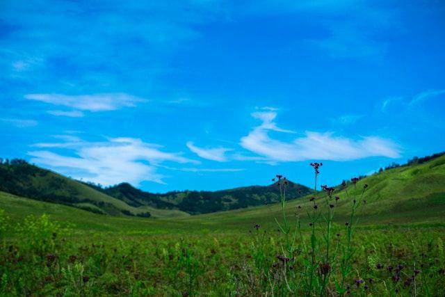Potret Bukit Teletubbies (unsplash.com/tuyuloveu)