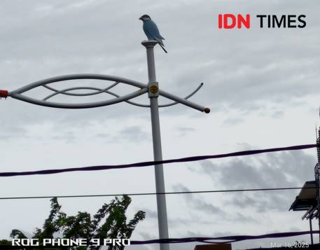 hasil zoom 10x ROG Phone 9 Pro (IDN Times/Rifki Wuda)