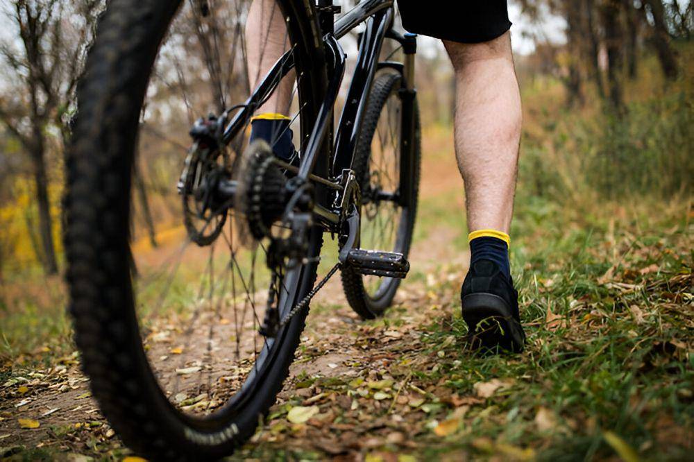 ilustrasi sepatu road bike (freepik.com/diana.grytsku)