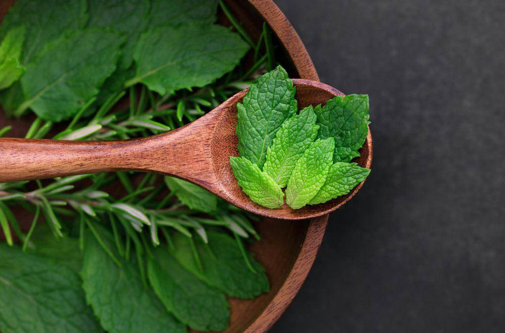 ilustrasi daun mint (pexels.com/Victoria Bowers)