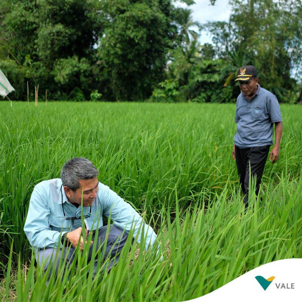 PT Vale sedang melakukan program pemberdayaan masyarakat  (instagram.com/ptvaleindonesia)
