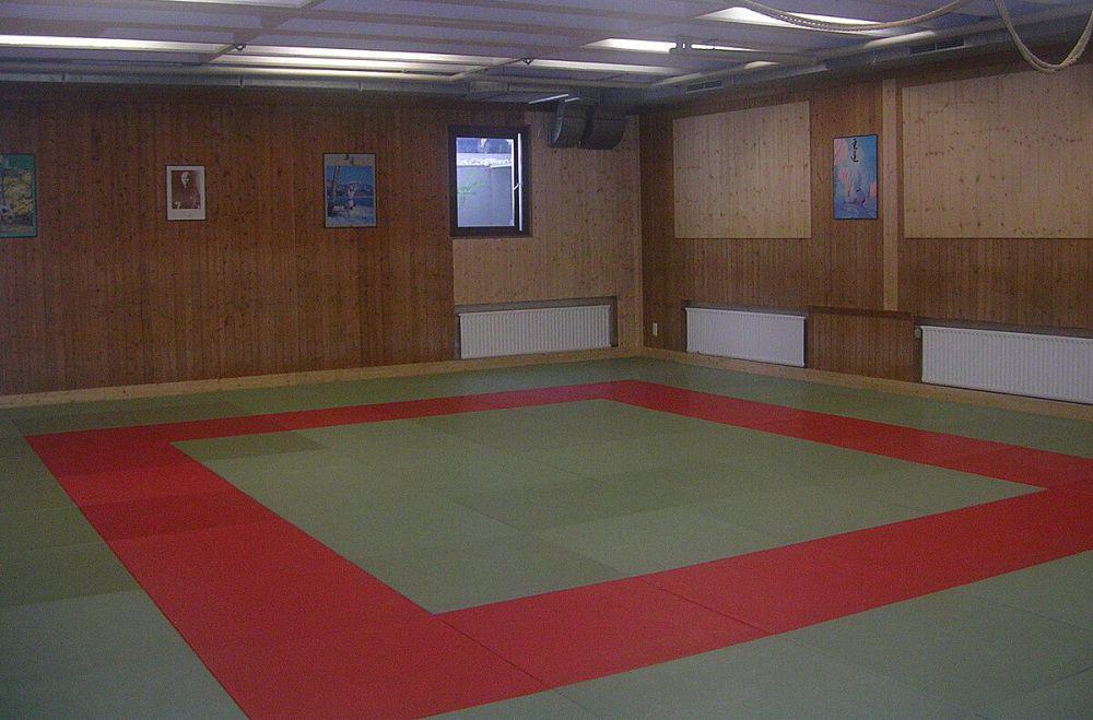 ilustrasi dojo (commons.wikimedia.org/Püppen)