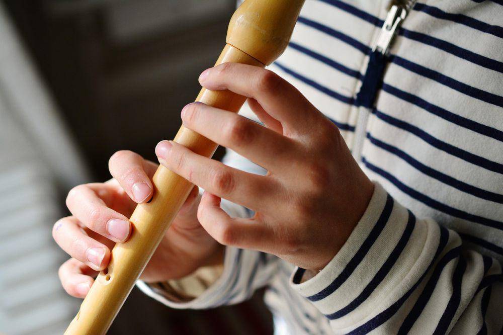ilustrasi alat musik recorder (pixabay.com/congerdesign)