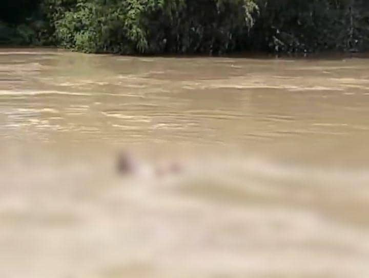 Tim SAR gabungan evakuasi jenazah diduga Aditya Yoga Pratama pemancing asal Magetan. IDN Times/ Istimewa.
