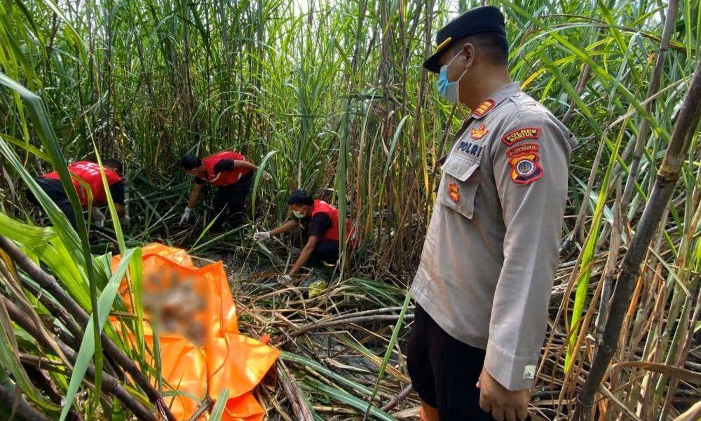 Pekerja Temukan Kerangka Manusia di Lahan Tebu di Bantul