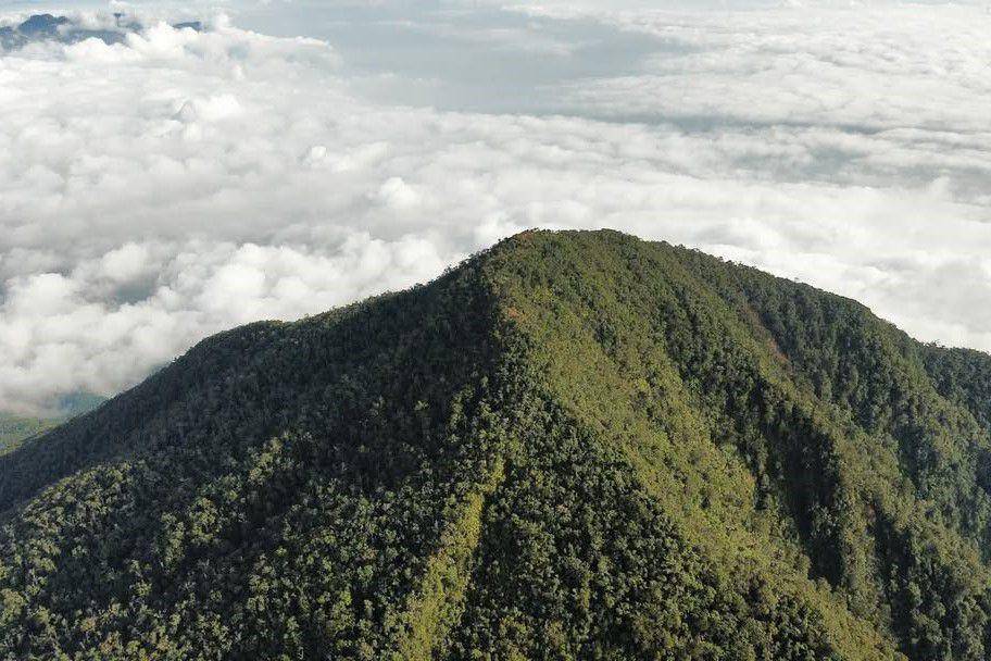 Pemandangan Puncak Gunung Cikuray (instagram.com/gunungcikuray_2821/)