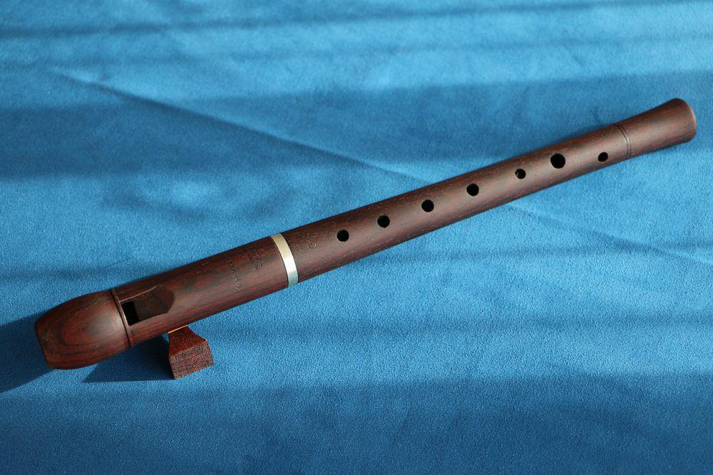 Belajar Alat Musik Recorder: Jenis, Cara Main, dan Tips Bermainnya