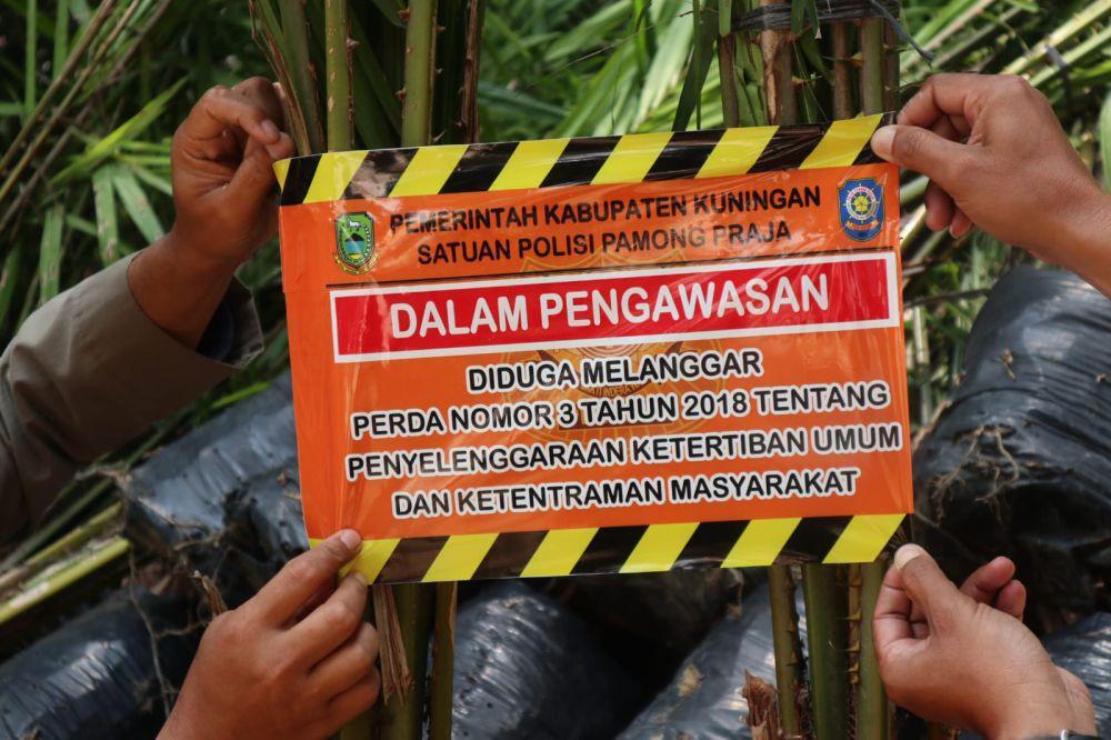 Kuningan Resmi Larang Perkebunan Sawit demi Ketahanan Pangan