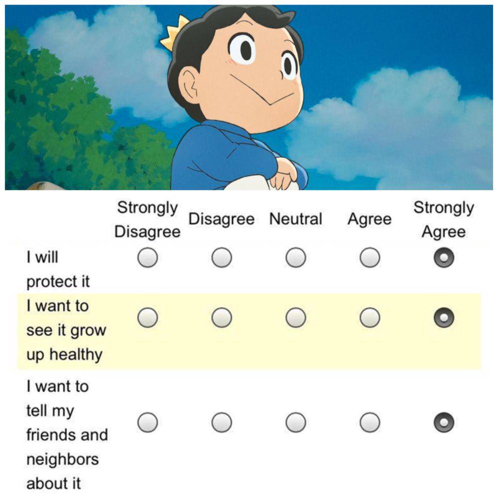 meme Bojji dari Ousama Ranking (reddit.com/user/SashaBraus)