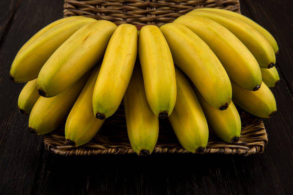 ilustrasi pisang (freepik.com/stockking)