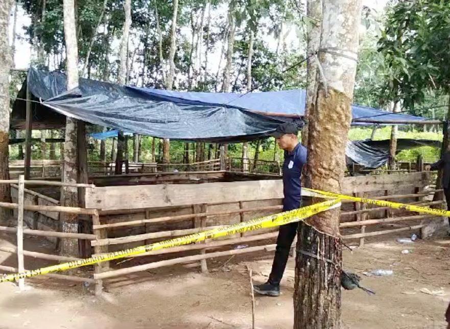 TNI Tembak 3 Polisi, Amnesty: Peringatan Serius Militer Masuk Sipil