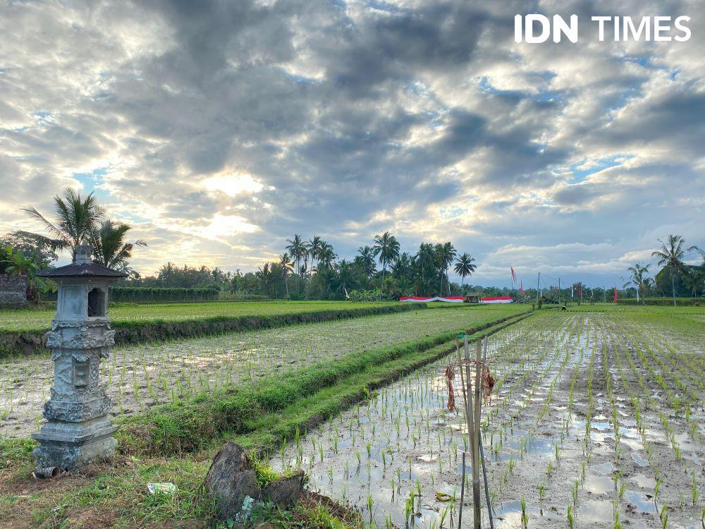 Hari Baik Menurut Hindu Bali 4 Juni 2025