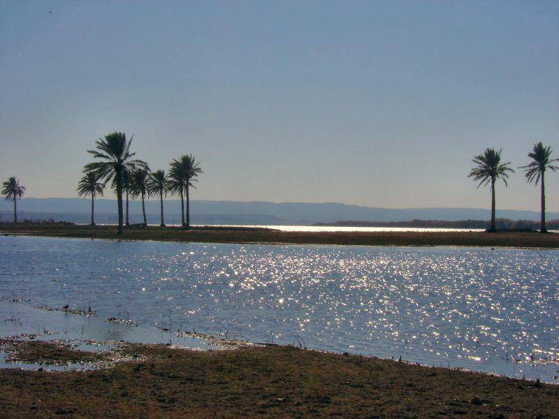 Sungai Efrat (commons.wikimedia.org/Jayel Aheram)