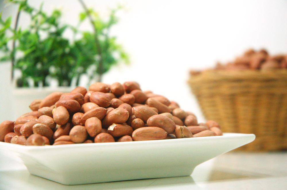 ilustrasi kacang tanah (pixabay.com/forwimuwi73)