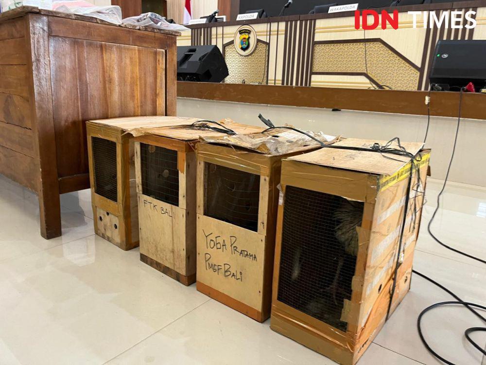 Penampakan barang bukti ayam diamankan dari TKP penggerebekan sabung ayam di Way Kanan. (IDN Times/Tama Yudha Wiguna).