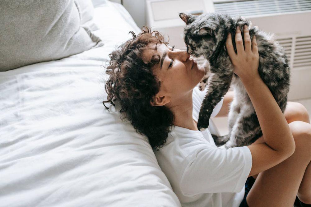 Apakah Kucing Suka Dicium? Cek Fakta dan Penjelasannya