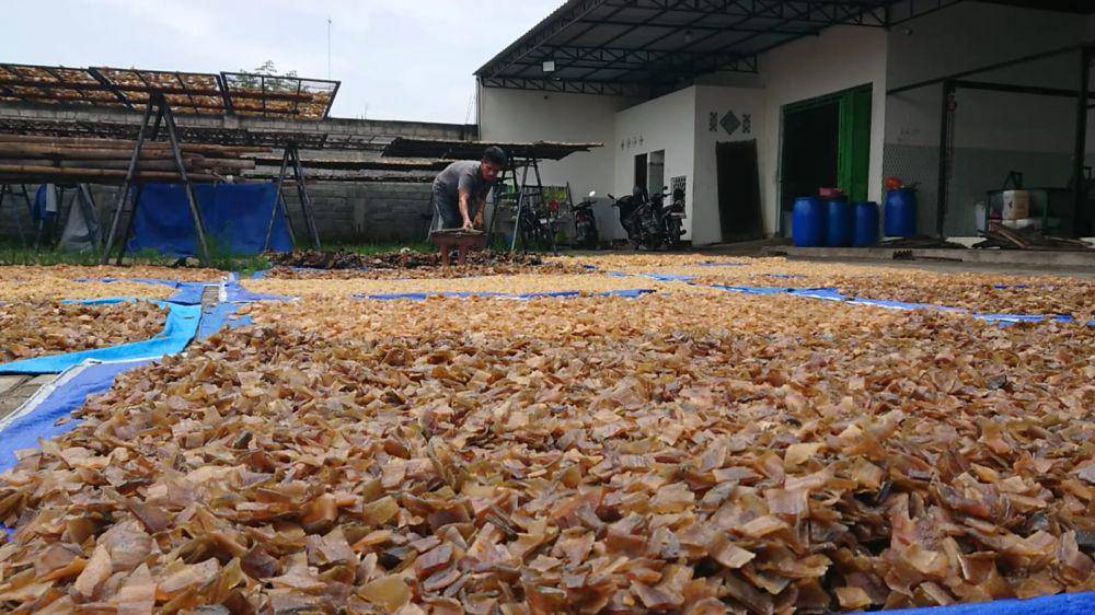 Produksi kerupuk rambak di Tulungagung meningkat. IDN Times/ Bramanta Pamungkas