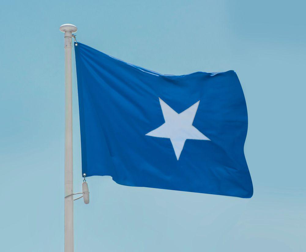 Negara Arab Bersyukur Presiden Somalia Selamat dari Serangan Teroris