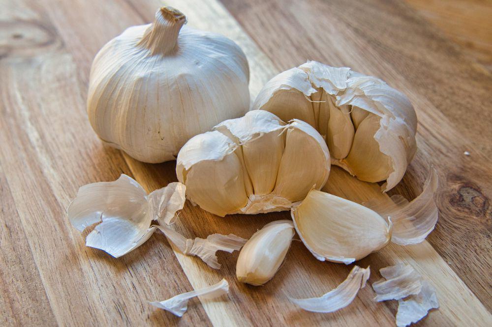 Ilustrasi bawang putih (pixabay.com/Anrita1705)